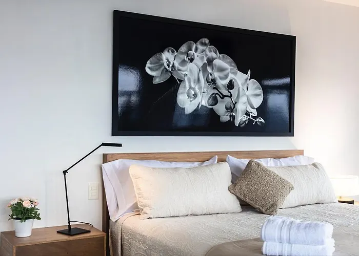 Apartamento Exclusiva Vista A Bellas Artes