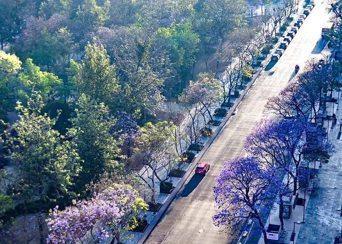 Apartamento Exclusiva Vista A Bellas Artes *